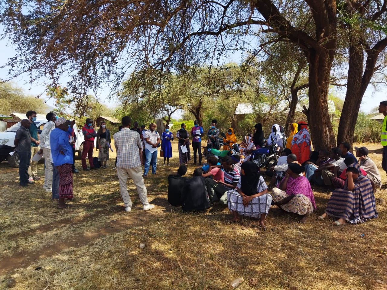 Project update story